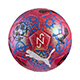 NJR グラフィックボール 4号球