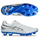 DS LIGHT PRO