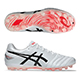【予約】DS LIGHT PRO AG