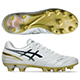 DS LIGHT PRO
