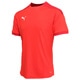 TEAMFINAL21 トレーニングシャツ