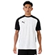 INDIVIDUAL PUMAFTBL PRO SS AOP TEEシャツ