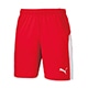 LIGA ｹﾞｰﾑﾊﾟﾝﾂ 01PUMA RED
