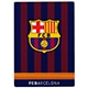 FCB 下敷き