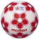 皇后杯 試合球