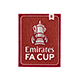 【納期7週間】CUP戦 FA CUP BADGE WINNERS 8