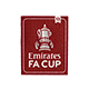 【納期2週間】CUP戦 FA CUP BADGE WINNERS 13