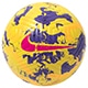 Premier League アカデミー 5号球