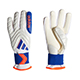 コパ Pro プロモ GKグローブ