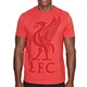 リヴァプールFC ライバーバード Tシャツ RED