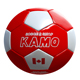 KAMO×NAIJEL GRAPH オリジナル BALL 1号球