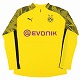 BVB キッズ 1/4 ジップ トレーニンク