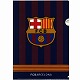 FCB クリアファイル(2マイセット)
