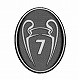 【取り寄せ】UCL ビッグイヤーバッジ 7