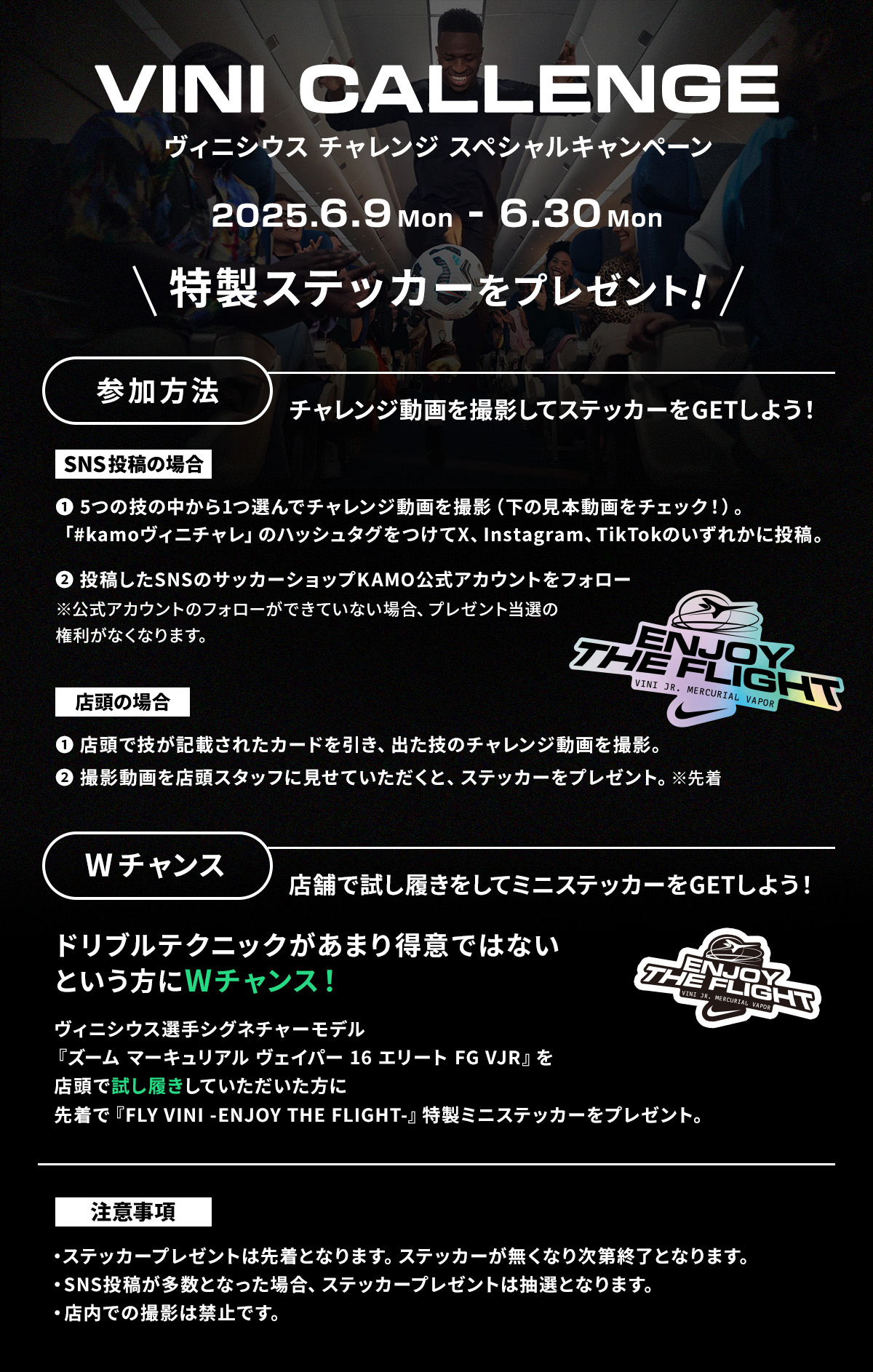 Viniチャレンジスペシャルキャンペーン