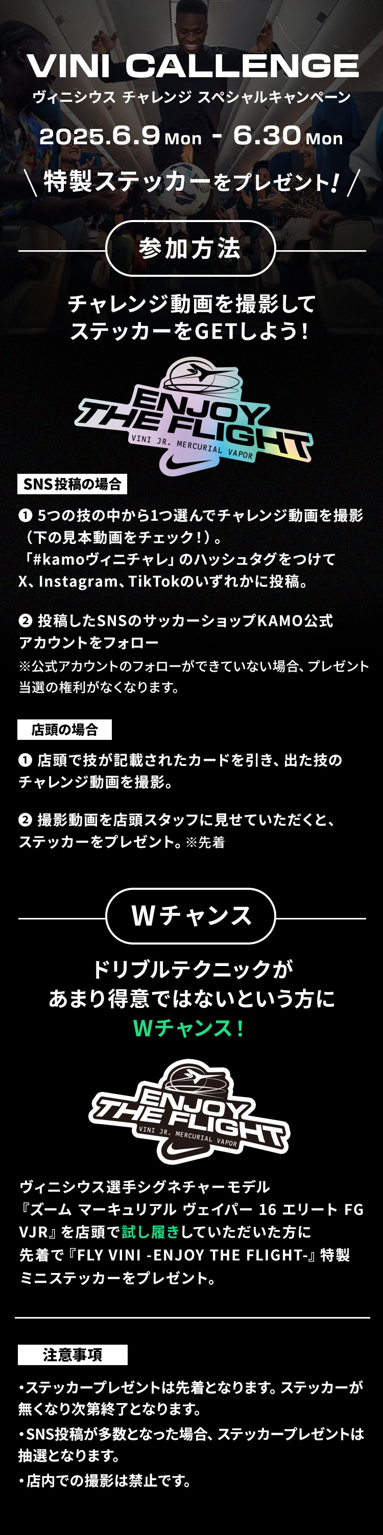 Viniチャレンジスペシャルキャンペーン