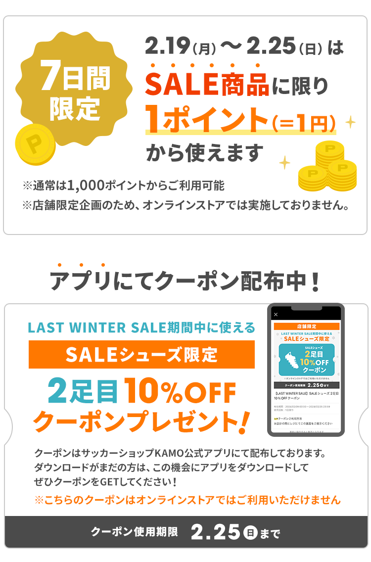 LAST WINTER SALE