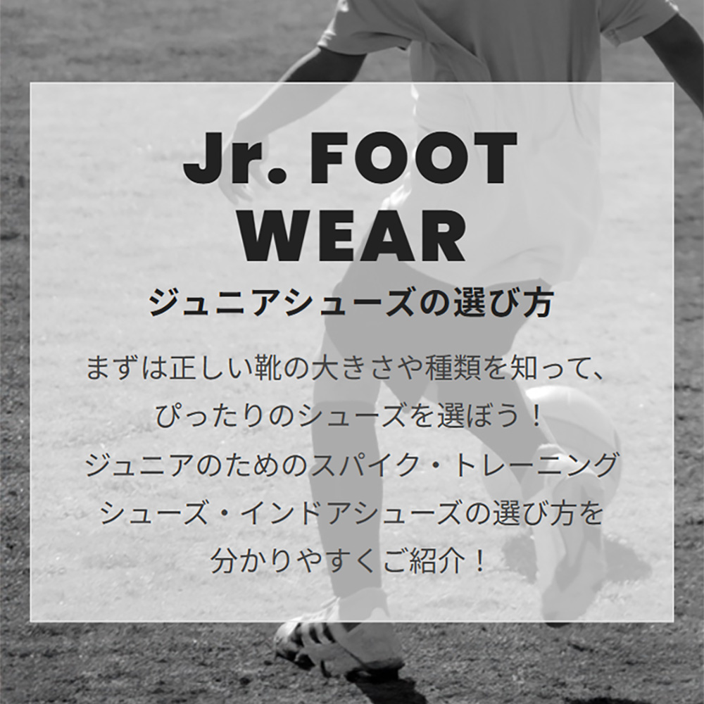 関連特集ページ バナー2